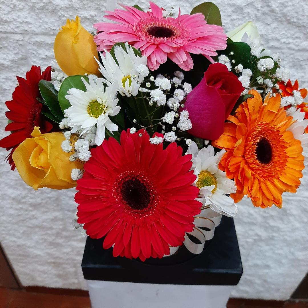Envio y venta de flores ,rosas, plantas,arreglos florales ,regalos y desayunos a domicilio con delivery gratis en la Ciudad Autonoma de Buenos Aires y con costo de env�o en localidades del Gran Buenos Aires asi como delivery de flores y plantas a trav�s de florerias asociadas en todas las provincias de la Argentina, Buenos Aires, la Pampa, Tucuman, La Rioja, R�o Negro, Entre Rios, Corrientes, Misiones, Neuquen, Chubut, Tierra del Fuego, Santa Cruz, San Luis, Mendoza, Cordoba, Jujuy, Formosa, Santiago del Estero, Salta, Chaco, Catamarca ,San Juan, y ademas realizamos el delivery de flores ,coronas,palmas , plantas y regalos a todas las ciudades de Argentina, Mar del Plata, C�rdoba, Buenos Aires, con cargo en Santa Rosa, La Plata, Bella Vista, Neuquen, Pilar, Paran�, Posadas, Resistencia, Cipolleti y mas de 300 ciudades y localidades en todo el territorio de nuestro pa�s, asi como tambien tenemos la posibilidad de enviar flores a casi todo el mundo en cuestion de horas